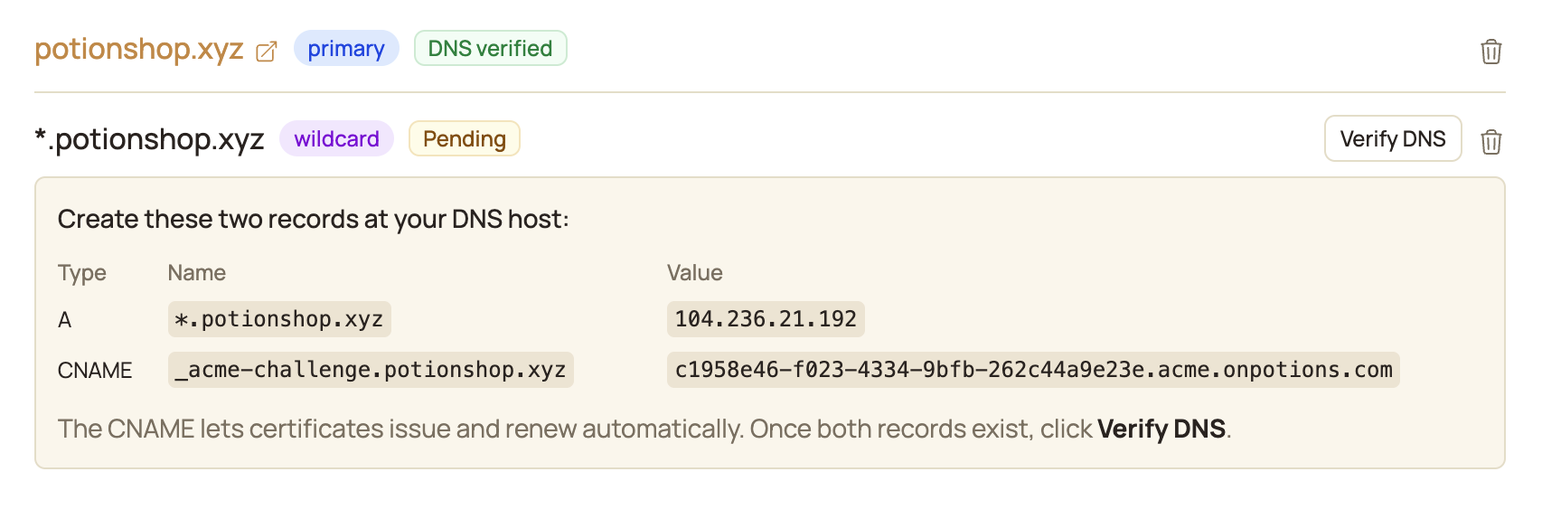 The two DNS records Potions asks you to create for the *.potionshop.xyz wildcard, with a Verify DNS button